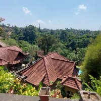 The real estate market turned towards the agglomeration, where demand increased by 50 percent
