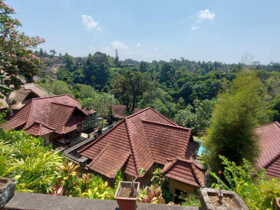The real estate market turned towards the agglomeration, where demand increased by 50 percent