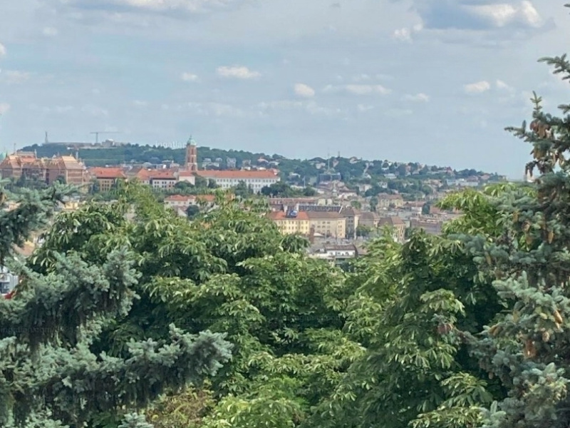 75 m5 flat in fair condition in District 2 Ady Endre utca facing Jánoshegy!